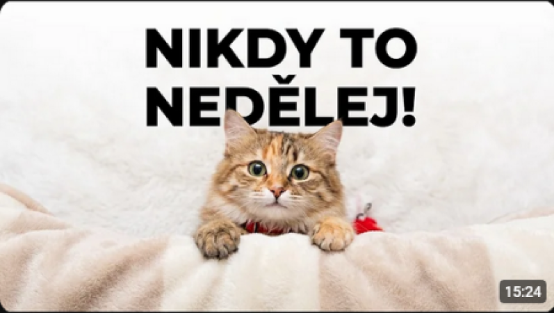 9 věcí, na které vaše kočka NIKDY nezapomene
