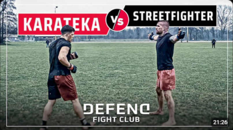 Polish Youtuber vs. German Pitbull