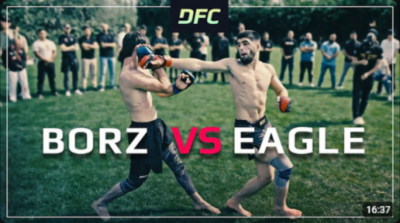 The EAGLE vs. The BORZ