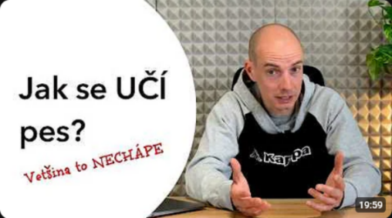 #156 Jak se pes DOOPRAVDY učí (většina lidí to nechápe)