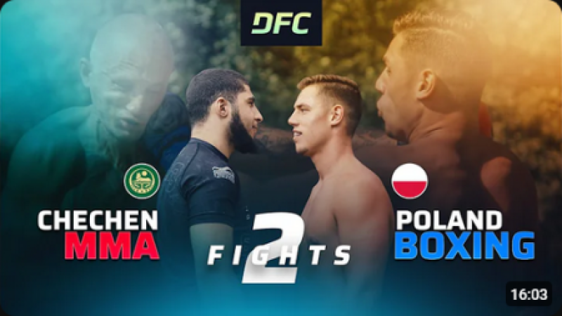 Streetfighter vs. Boxer vs. MMA Fighter