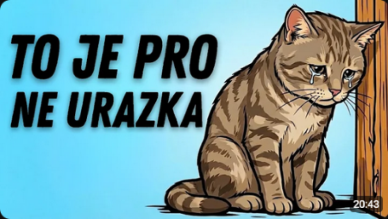 Těchto 15 každodenních věcí ZRANÍ city vaší kočky! (přestaňte s tím)