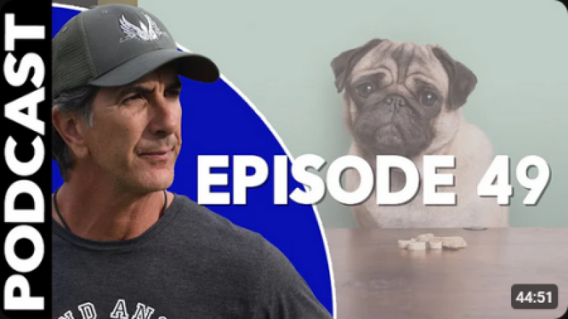 Episode 49 - Separation Anxiety in Dogs - Dog Health and Training