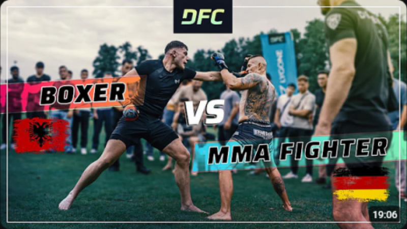 German PITBULL vs. Albanian BOXER